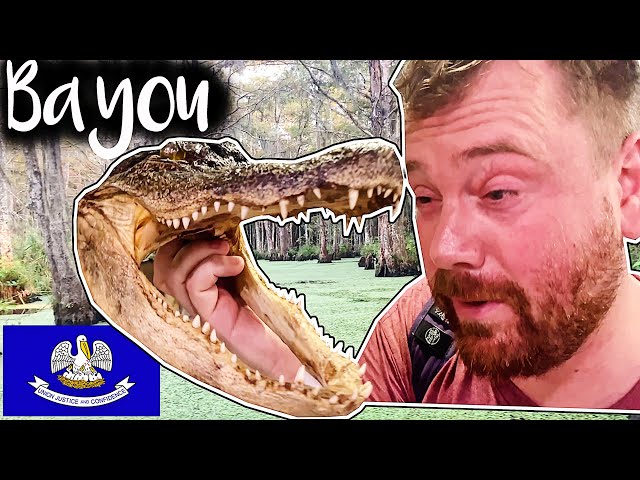 Scottish Guy Goes On New Orleans Swamp Tour 🏴󠁧󠁢󠁳󠁣󠁴󠁿🇺🇸🐊