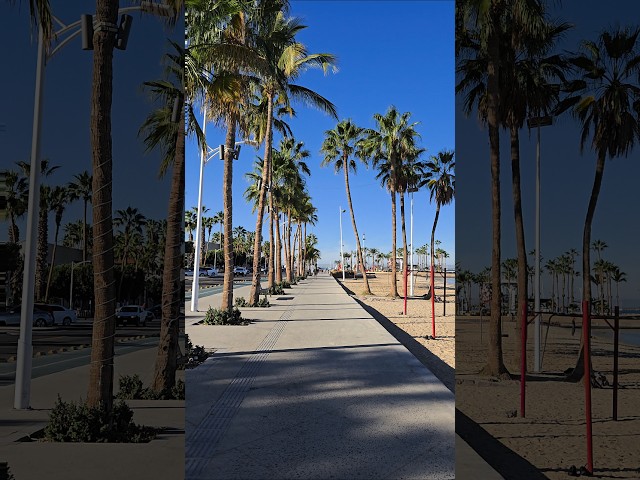 Malecón de La Paz - La Paz, Mexico 🇲🇽  #travel #explore #beautiful #beach #relax #calm