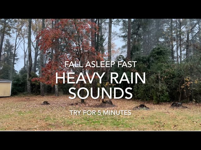 Rain Sounds for sleeping #Relaxation #Meditate #Insomnia #Studying