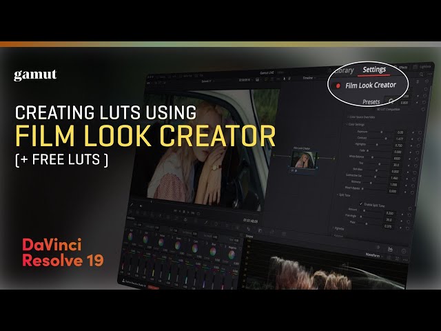 Creating LUTs Using Film Look Creator + FREE LUTs (DaVinci Resolve 19) - Episode 11