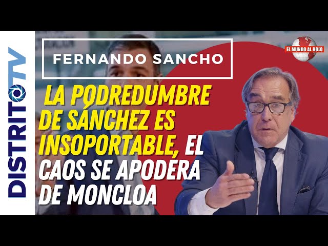 🔴FERNANDO SANCHO🔴 LA PODREDUMBRE DE SÁNCHEZ ES INSOPORTABLE, EL CAOS SE APODERA DE MONCLOA