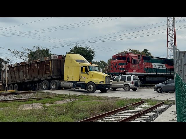 Que gente tan terca! Carros se le atraviesan al tren! Guerra de silbatos trackmobile vs locomotora!