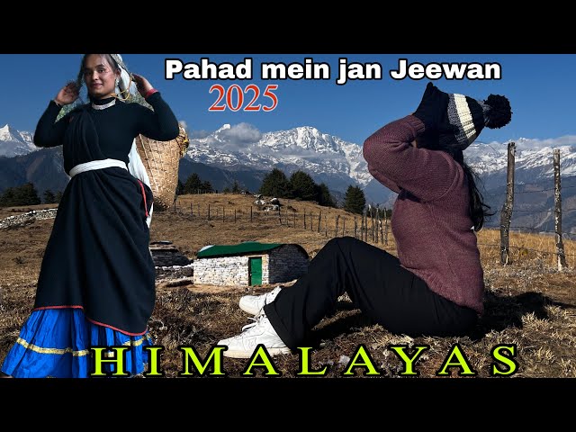 Honest lifestyle in HIMALAYAN region!🇮🇳 北インド