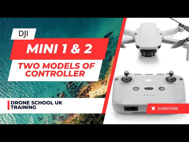 Different DJI Mavic Mini and Mini 2 Controllers