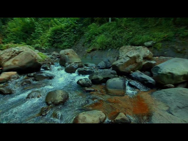 Peaceful River Sounds for Emotional Support and Peace