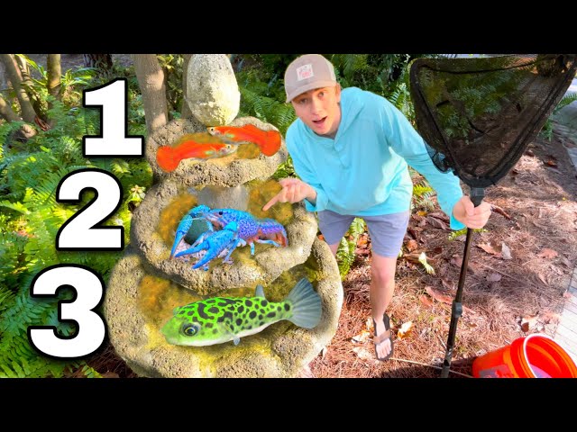 Catching *NEW* Exotic Fish for my DIY FOUNTAIN POND!! (3 LEVELS)