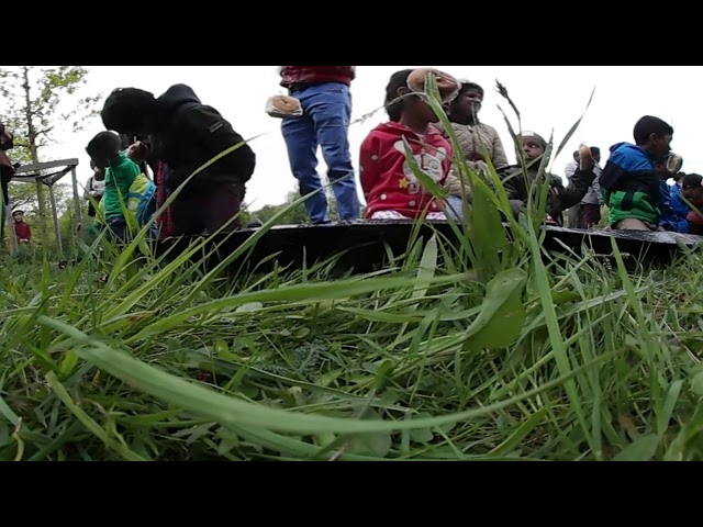 Sinhala Aurudu celebrations 2018 (Belgium)