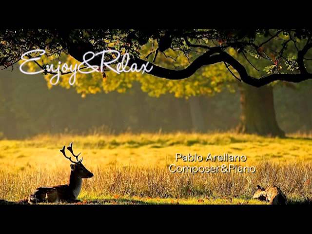 Healing And Relaxing Music For Meditation (Piano Insight) - Pablo Arellano