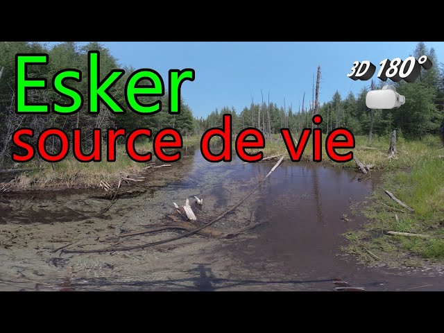 Esker source de vie