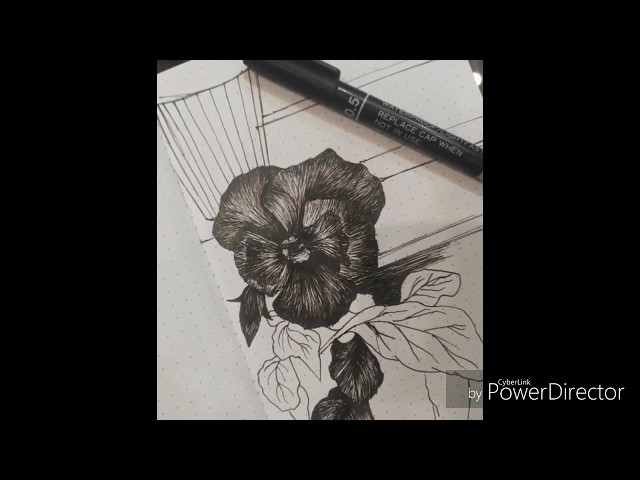 Drawing a pansy flower #pendrawing #howtodrawaflower