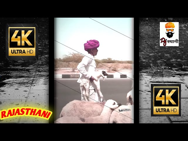 Rajasthani full screen whatsapp status | Rajasthani status 🐫 #shorts #rajasthani #status #manojdey