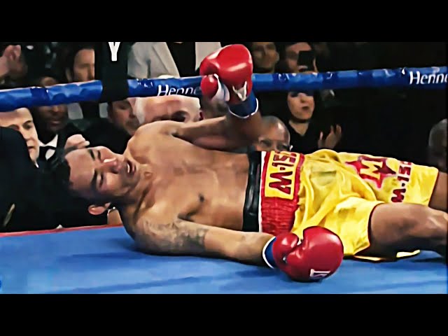 Knockouts That Will Never Be Forgotten | Part 10