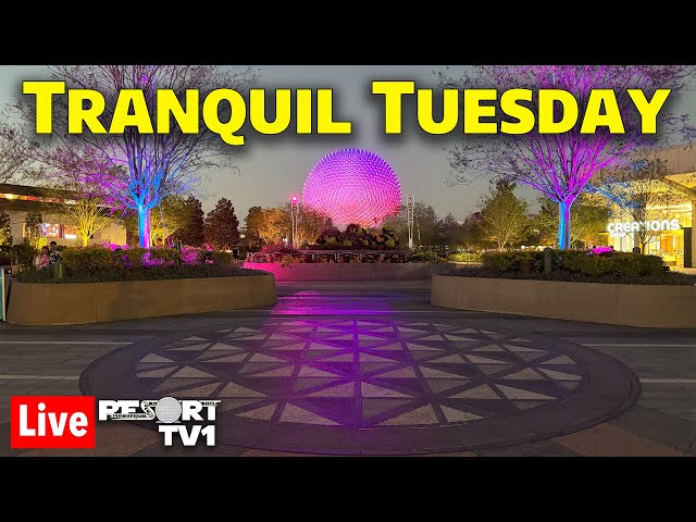 🔴Live: Tranquil Tuesday at the Epcot Festival of the Arts - Walt Disney World Live Stream - 2-4-25