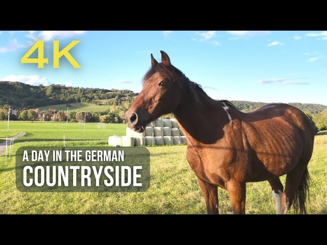 " German Countryside: The Charm of Nature and Rural Tranquility"   4K