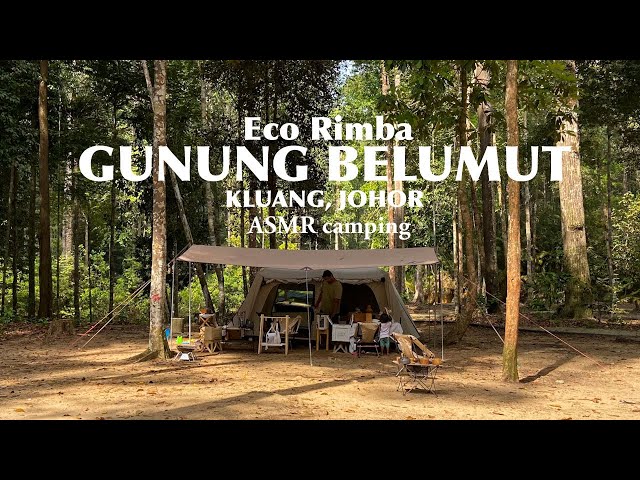 Vlog 22 | Eco Rimba Gunung Belumut Kluang | by the RIVER | ASMR Family Camping | Sound of Nature