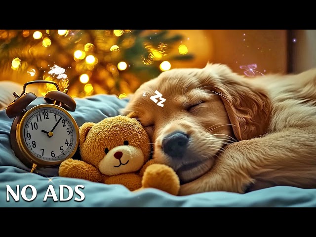 12 Hours of Dog Calming Tunes 🎵 Soothe Your Dog’s Anxiety 🐶 Relaxation and Sleep Aid ⭐ No Ads