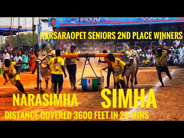 RK BULLS NAKKA ANAND BABU GARU(TDP) SIMHA,NARASIMHA WON 2nd IN NARSARAOPET SENIORS