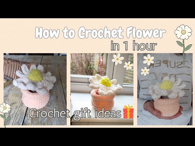 How to Crochet Flower Daisy in a pot Last minute Crochet Gift Ideas/ Free pattern Easy for beginners