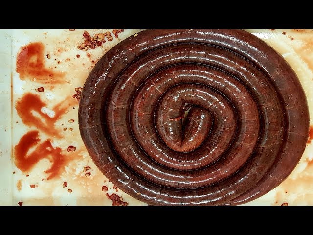 How Its Made: Black Pudding. How To Make Black Pudding/Blood Sausage. #SRP #Blackpudding