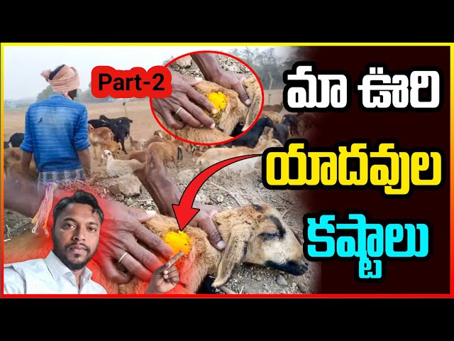 Telangana Village Lifestyle | Village Life Telugu Vlogs