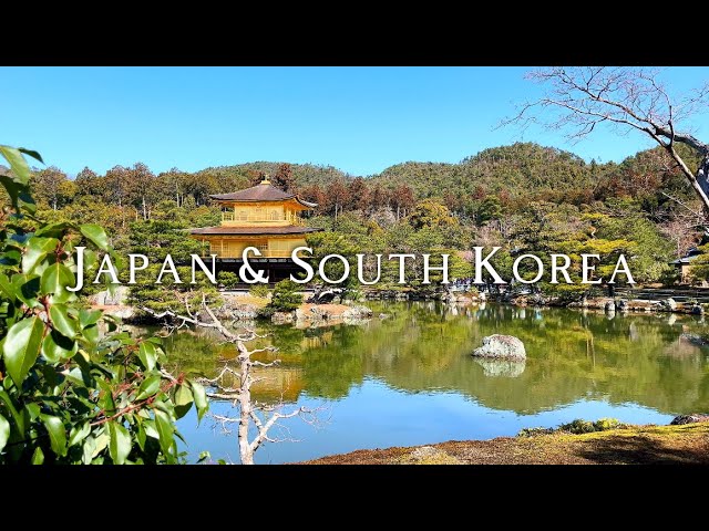 Studying Abroad in Japan & South Korea - Spring Break 2024 Weber State University