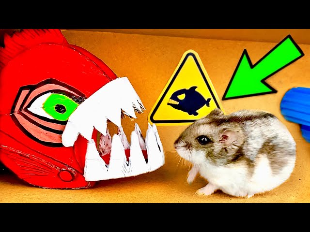 🐹JAWS Hamster Maze with Traps 😱[OBSTACLE COURSE]😱