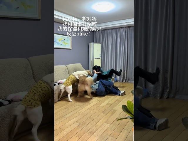 🐶：告诉我妈 我不是孬种 人和狗总要疯一个系列 这谁能顶得住啊