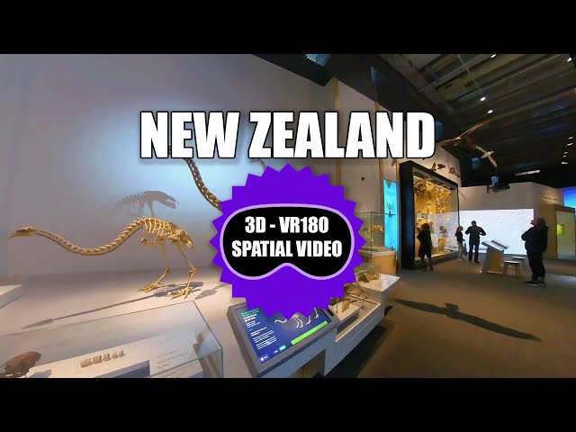 New Zealand Wellington Museum Walk - Part 10 - VR180 - Spatial Video