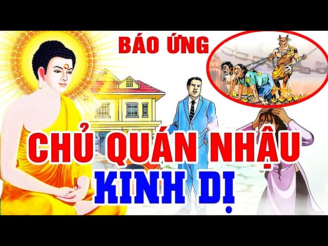 Luật Nhân Quả Báo Ứng 2025 Hay, BÁO ỨNG CHỦ QUÁN NHẬU Kinh Dị - Gieo Nhân Gặt Quả... Chớ Xem Thường