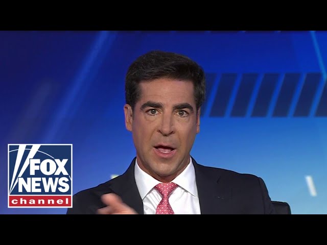 Watters says Dems have been ‘losing’ every day since DOGE