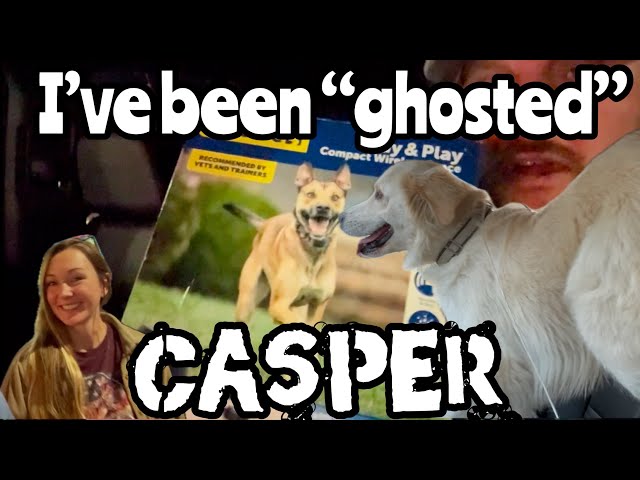 Casper:  a new rescue dog!