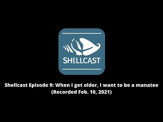 Shellcast Episode 9: When I get older, I want to be a manatee