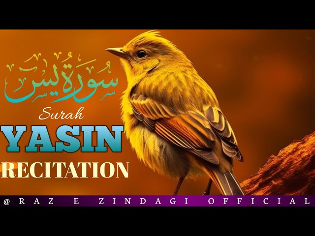 Surah Yasin (Yaseen) Heart Relaxing Recitation Quran  (By Saiman Qadri)