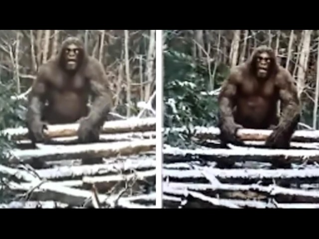 Unbelievable NEW BIGFOOT Evidence Confirms the Myth Is True!