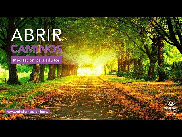 Mindfulness MEDITACION guiada: ABRIR CAMINOS en el TRABAJO👷🏿 , en el AMOR💖 y en el HOGAR🏡!