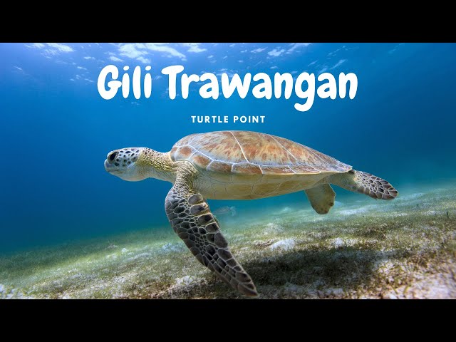 Mergulho no TURTLE POINT em Gili Trawangan