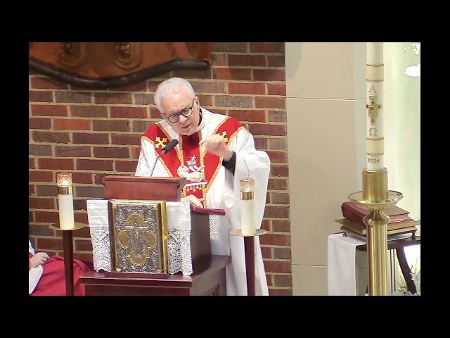 Fr. Miles Walsh's Homily | 3rd Sunday of Easter, Year B | 4/14/2024