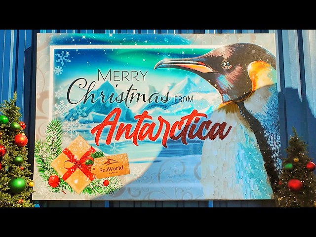 Experience the MAGIC of SeaWorld Orlando's Christmas Celebration in 4K