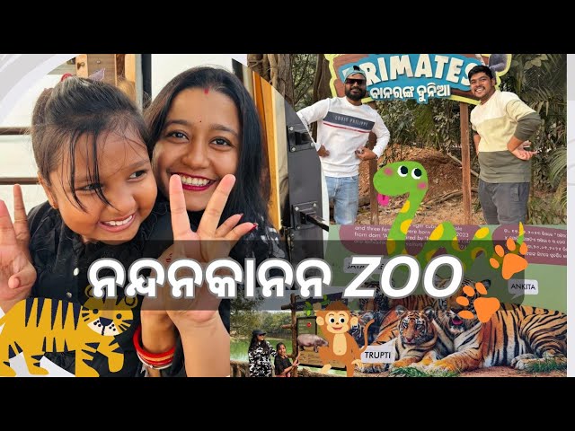 ଆସନ୍ତୁ ବୁଲିବା Nandankanan Zoological Park, Bhubaneswar!India's 2nd largest Zoo#dailyvlog#odiavlog