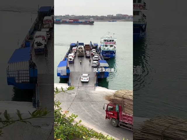 Truck driver carries branches to the boat to cross the river. Ferry crossing the river. Car ferr