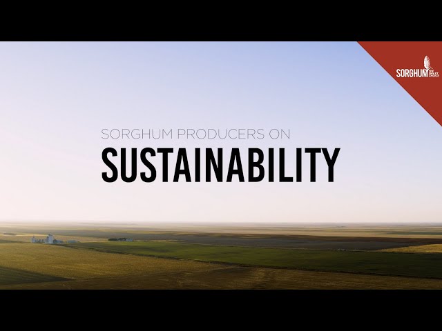 Sorghum: The Resource Conserving Crop™