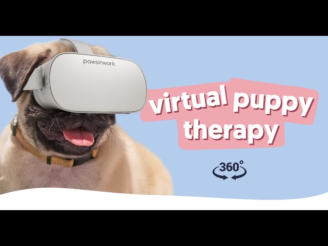 Virtual Puppy Therapy