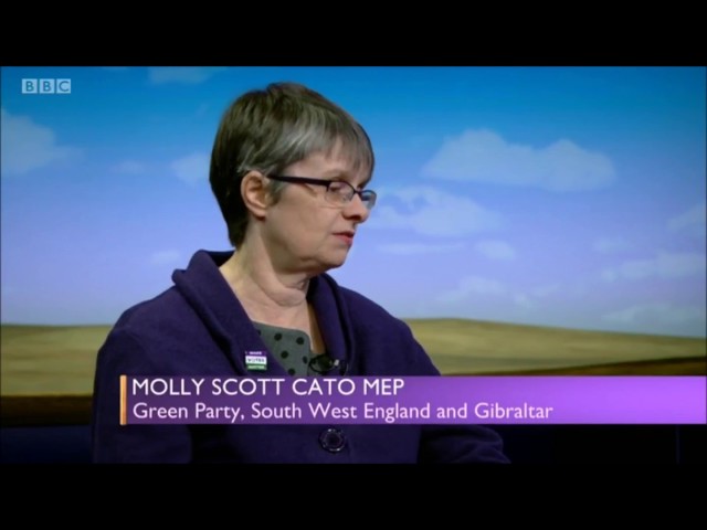 by-elections and electoral reform - Molly Scott Cato MEP