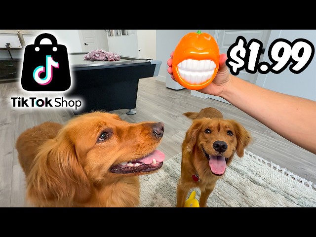 I Bought My Dogs Toys From Tiktok Shop! 🦴