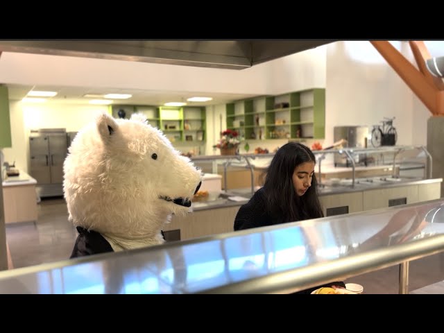 Extreme Bear Freak Out in University Cafeteria Gone Wrong!