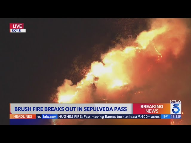 Brush fire breaks out near 405 Freeway in Sepulveda Pass