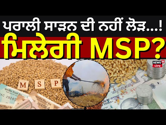 Live |ਹੁਣ ਪਰਾਲੀ ਸਾੜਨ ਦੀ ਨਹੀਂ ਲੋੜ...! ਮਿਲੇਗੀ MSP?MSP on Stubble |CM Bhagwant Mann |Today Punjabi News