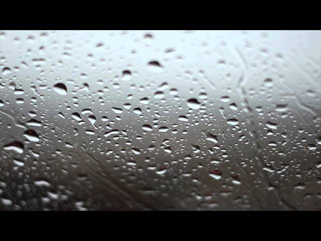 Rainy Day Background Video - No Sound