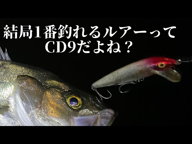 CD9が結局1番釣れる気がします。【シーバス】