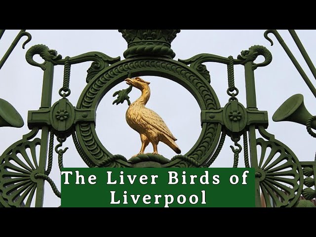 THE LIVER BIRDS OF LIVERPOOL - FOLKLORE